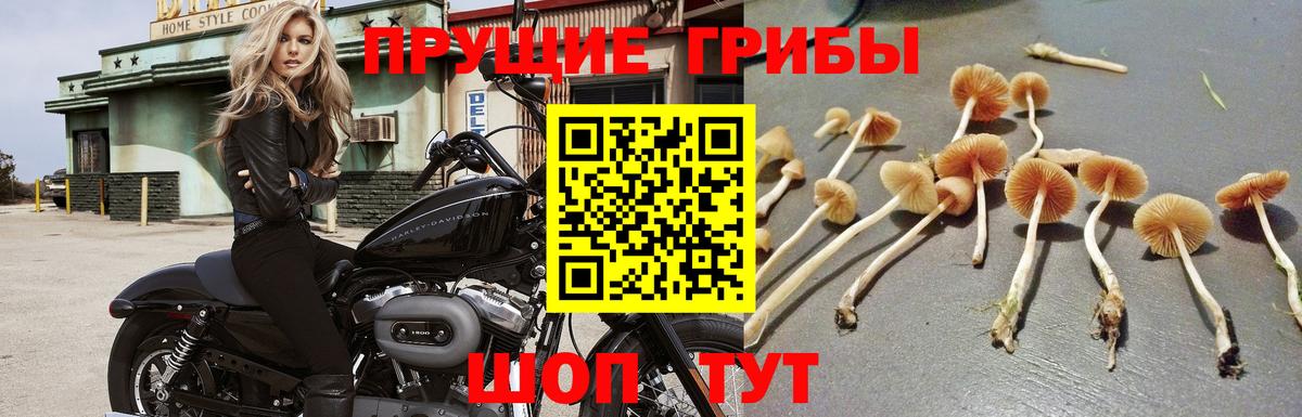 Галлюциногенные грибы мухоморы Россошь